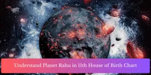 Understand Planet Rahu in 11th House of Birth Chart